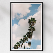 Chargez l&#39;image dans la visionneuse de la galerie,Palm Tree Sky
